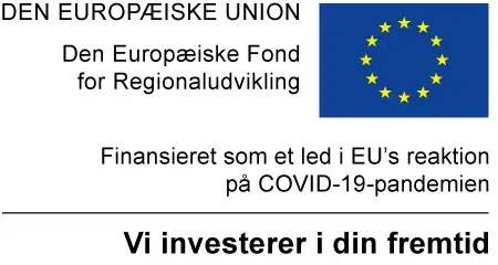 Den europ&aelig;iske union